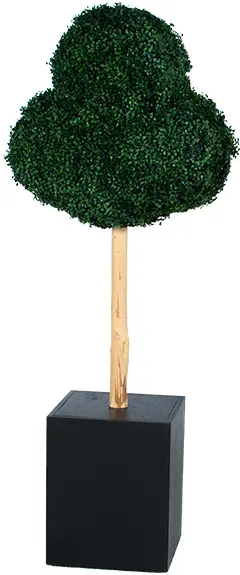 photo du produit
