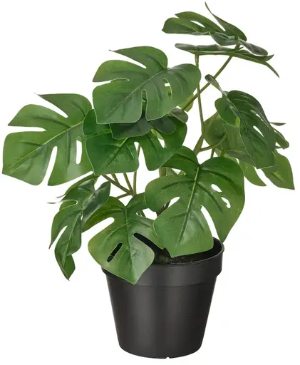 Plante Monstera artificielle - 12.5" H - Vert