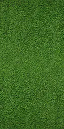 Wall - 5' L x 8' H - Green grass