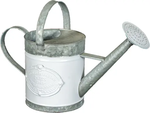 Rustic watering can metal