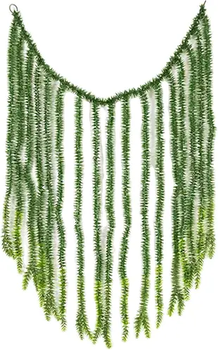 Plante Callistemon Guirlande - 46" H - Vert