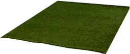 Gazon tapis - 12' L x 10' l - DFR