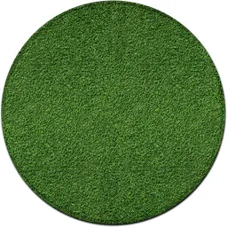 Gazon tapis - 9,5' D - DFR