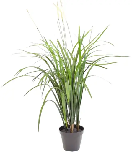 Artificial Cattail plant - 37" H - Green