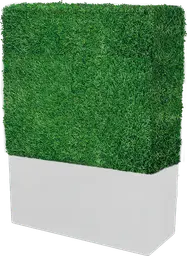 Boxwood - Rectangulaire - Gazon & Blanc