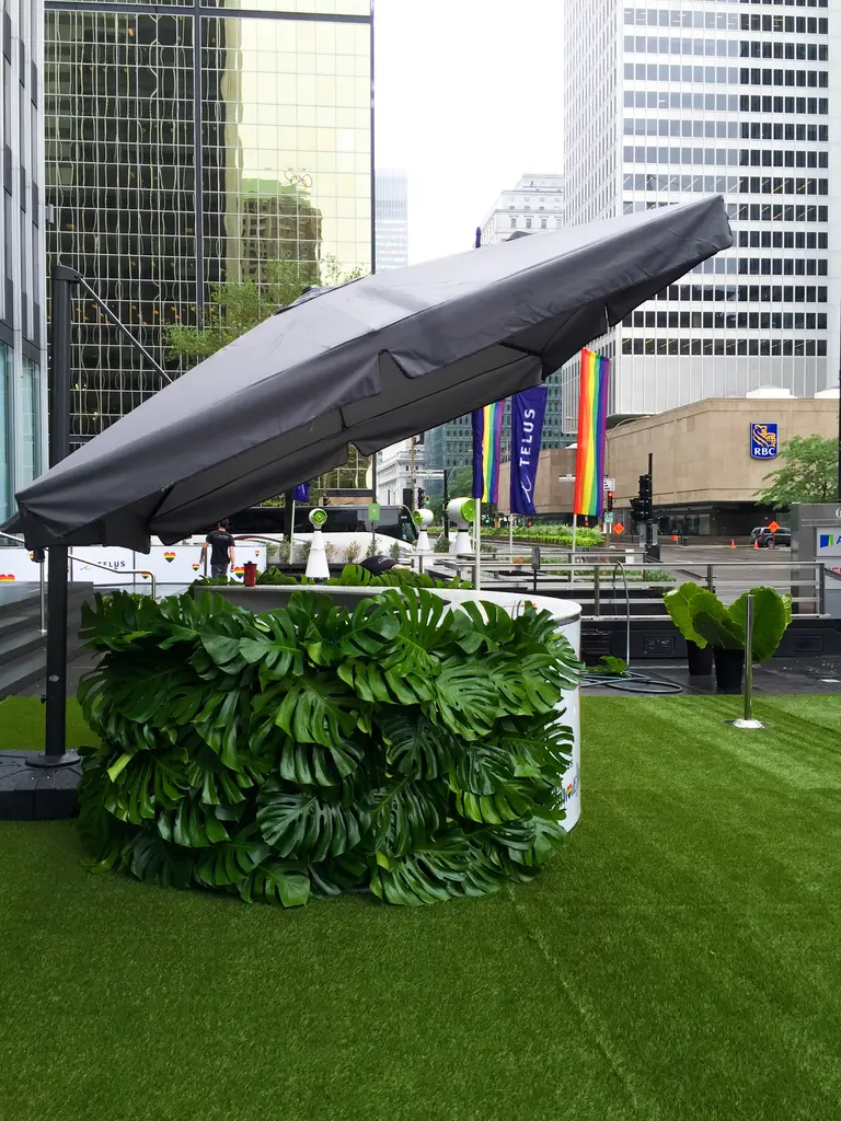Parasol Gris Tapis Gazon
