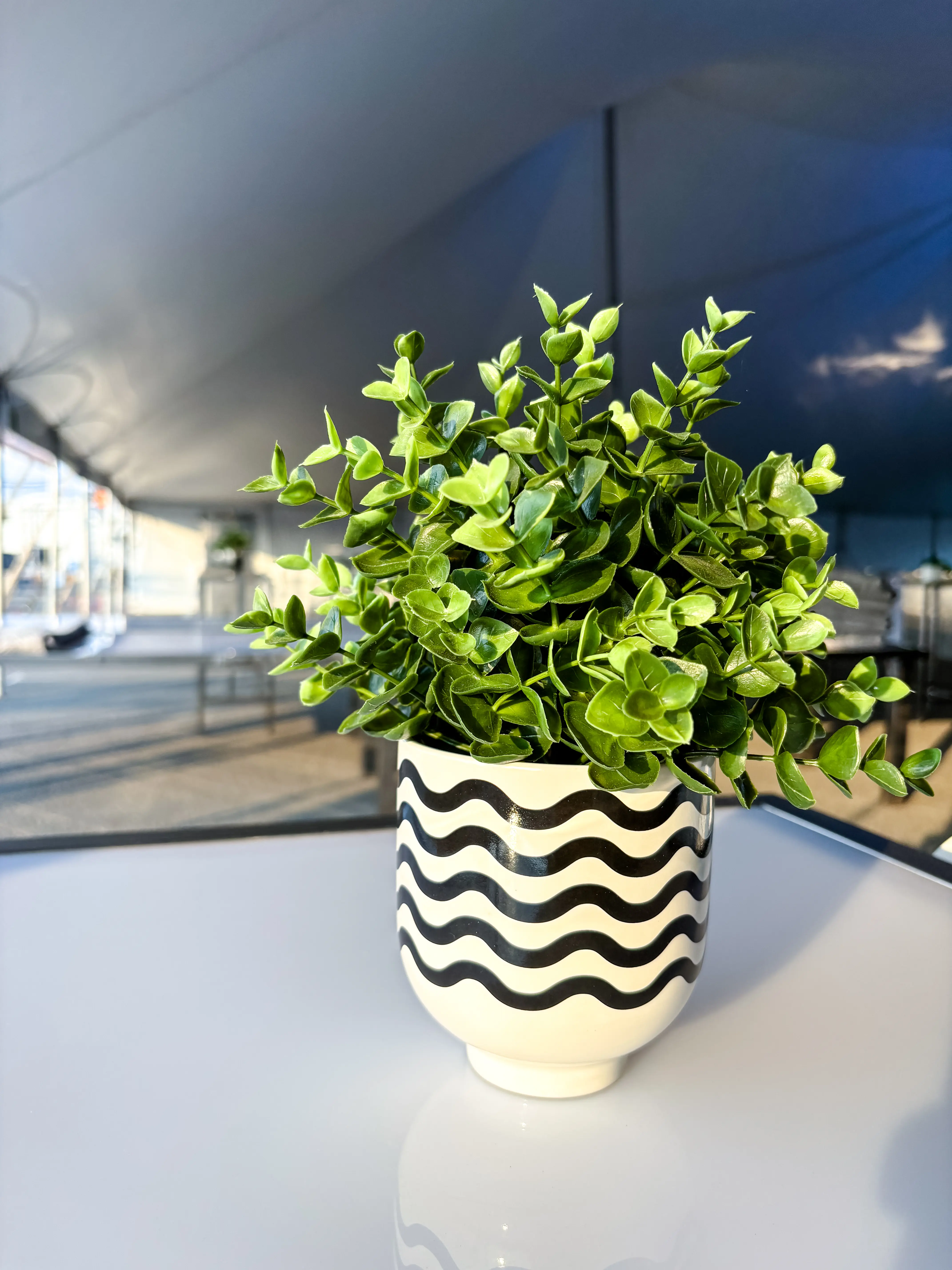 Motif - Cache-pot - 4'' D x 4.75'' H - Noir et Blanc utilisé dans le cadre de la réalisation 100ème Prévost Vase Motif  FR