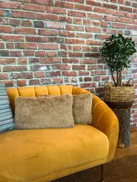 Adaline - Armchair - Antique yellow used in the inspiration Adaline Bûche Plante Brique Fourrure