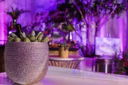 Artificial Succulent plant - 4.75'' H - Green used in the inspiration Votive Brava Pot