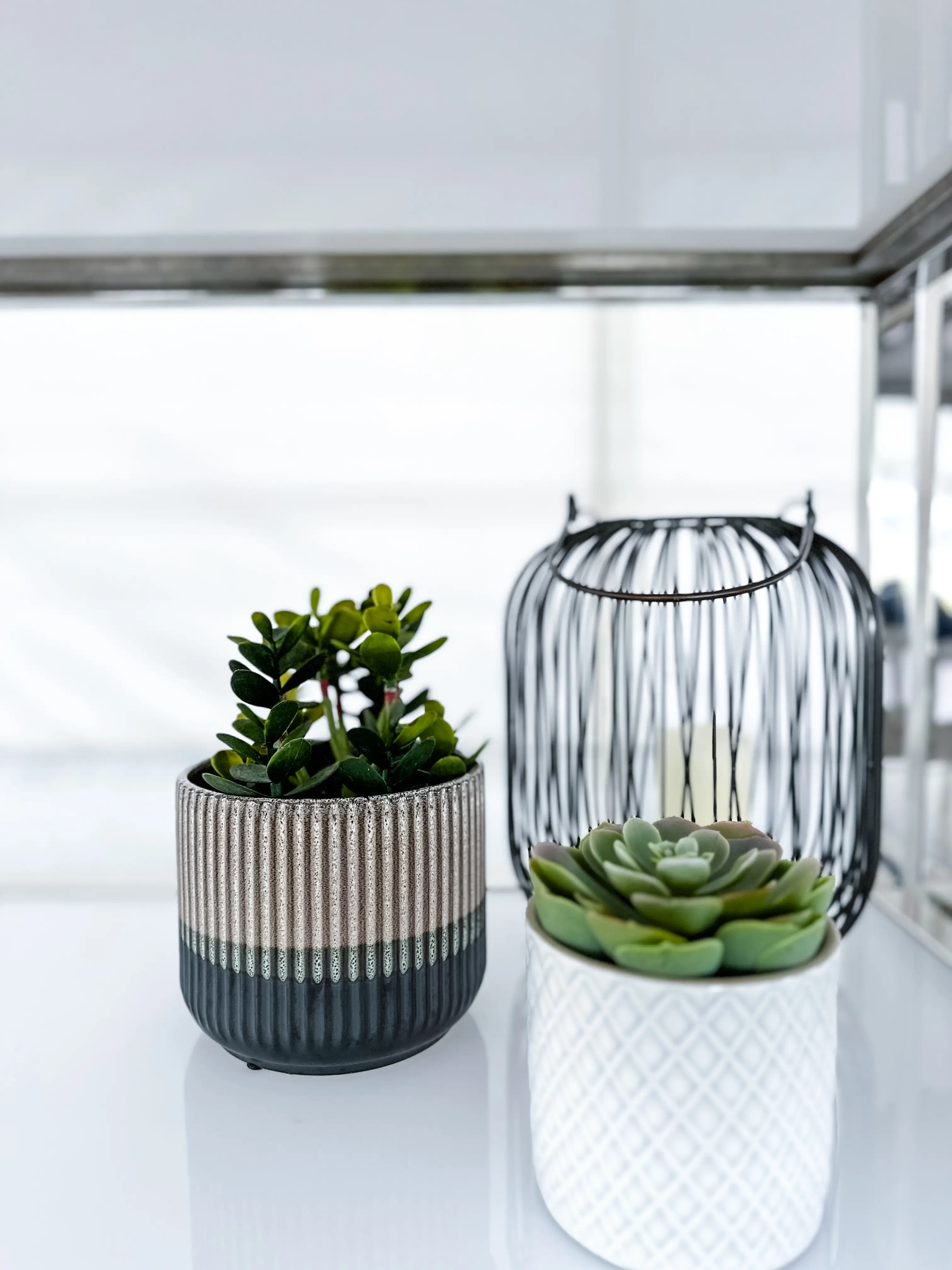 Marta - Vase - 4'' Dia x 4'’ H - White used in the inspiration 100ème Prévost Accessoires Aria Pilea Martha Succulente Lanterne EN