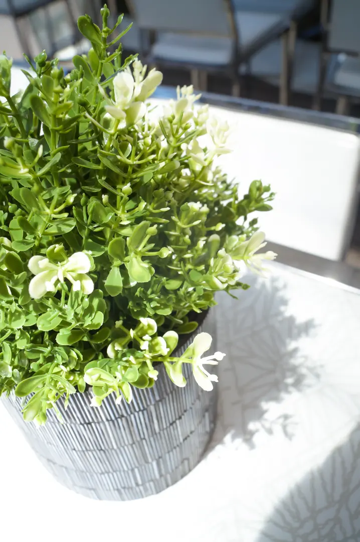 Artificial Thyme plant - 8.75'' H - Green used in the inspiration Votive Barcelone Noir Thym Tonic Commune Impression