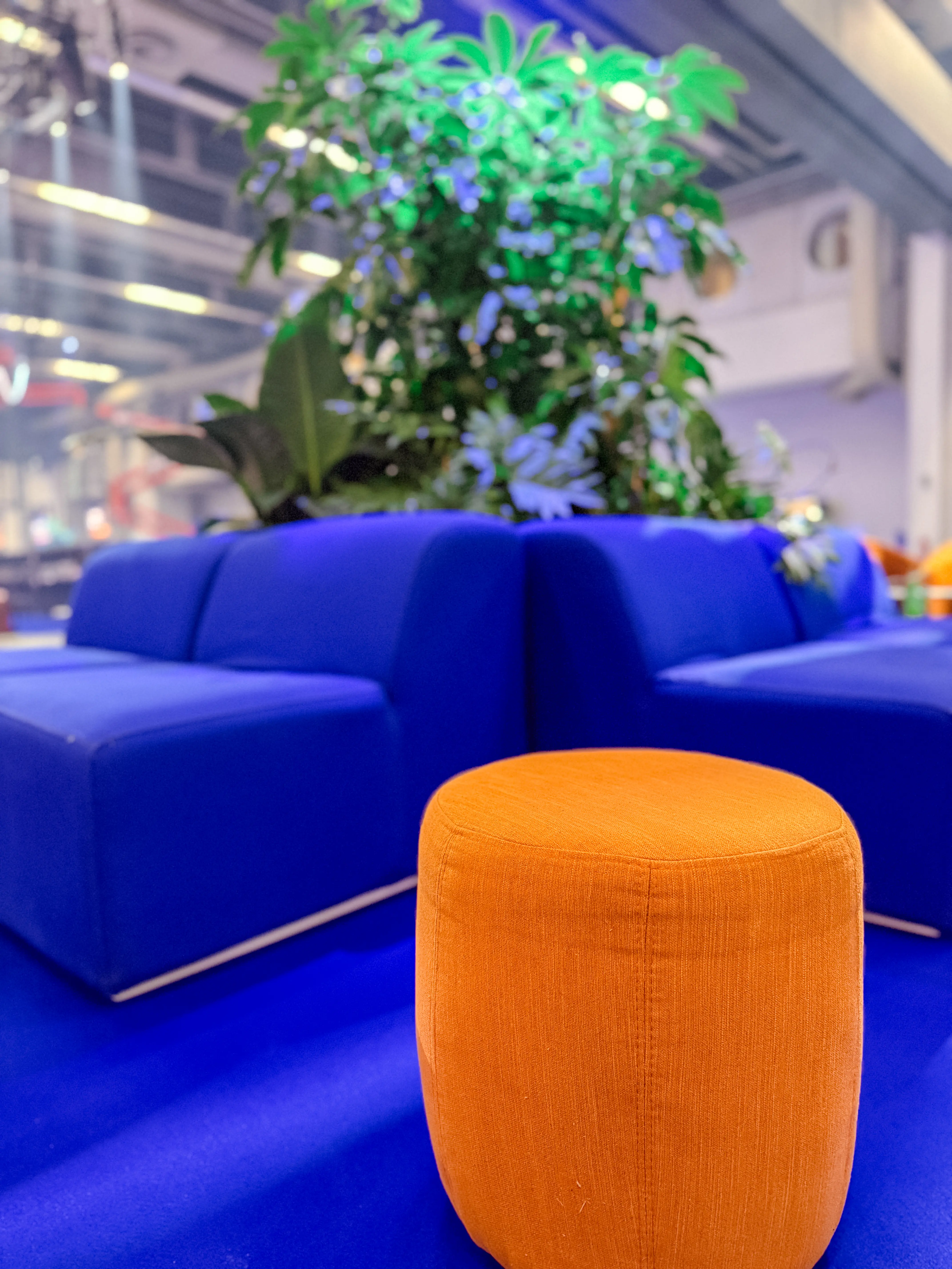 Fidji - Center - Royal blue used in the inspiration Pcm   All In 2025 Pouf Paloma Orange EN