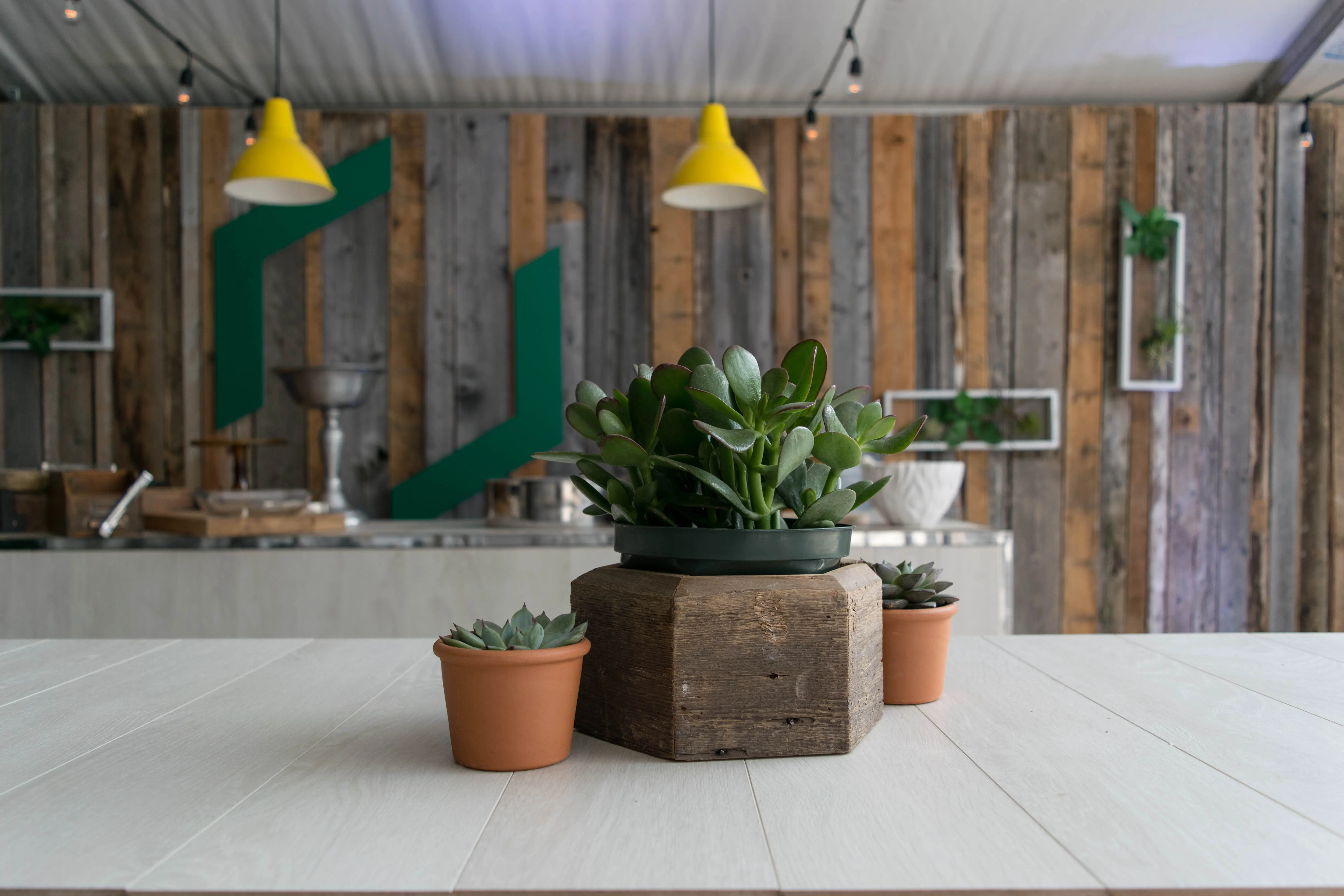Hexagone - Brun utilisé dans le cadre de la réalisation Lampe Aloes Jaune Manhattan Bois Blanc 4