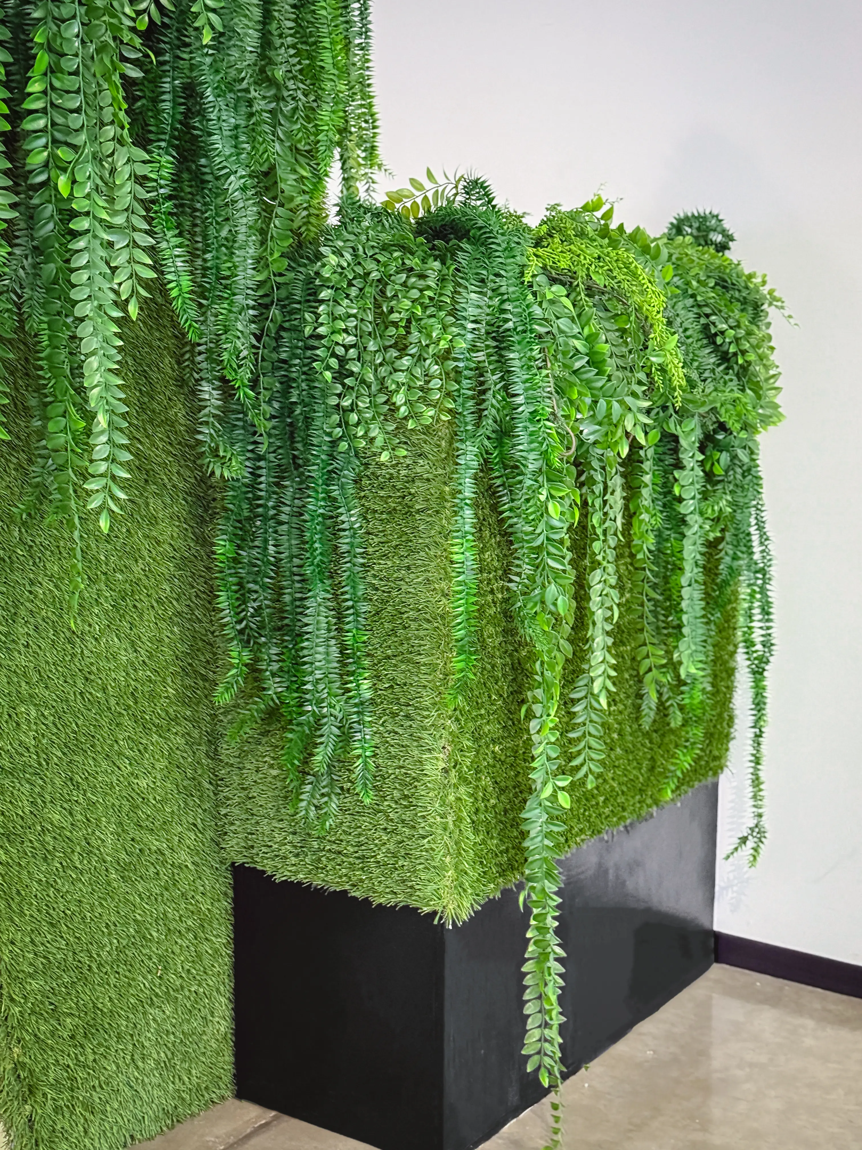 Plante Fougère Tige - 37" H - Vert utilisé dans le cadre de la réalisation Grand Quai   Buis   Verdure FR