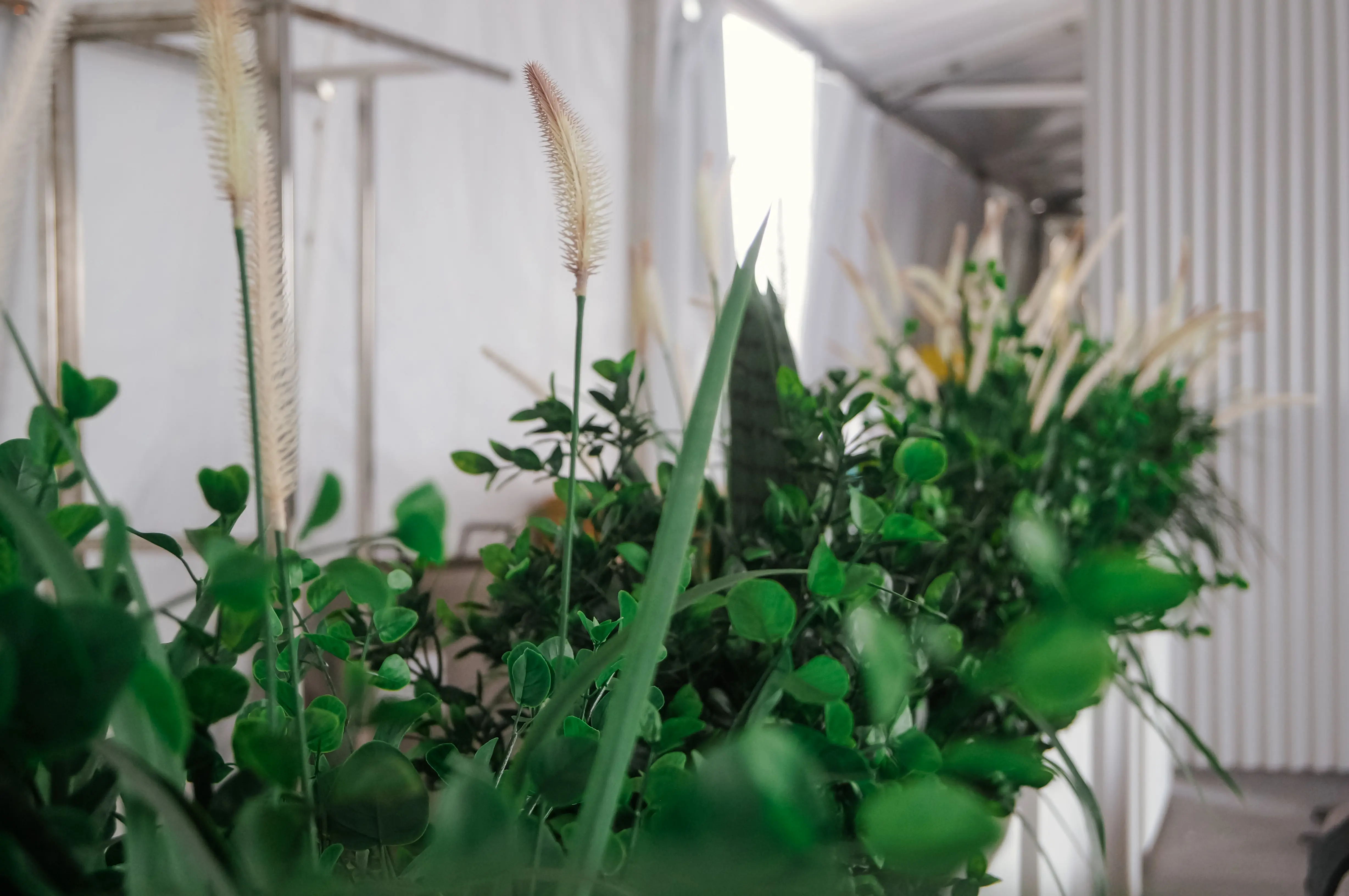 Plante Eucalyptus artificielle - 36" H - Vert utilisé dans le cadre de la réalisation Feq 2024   Salon 010 FR