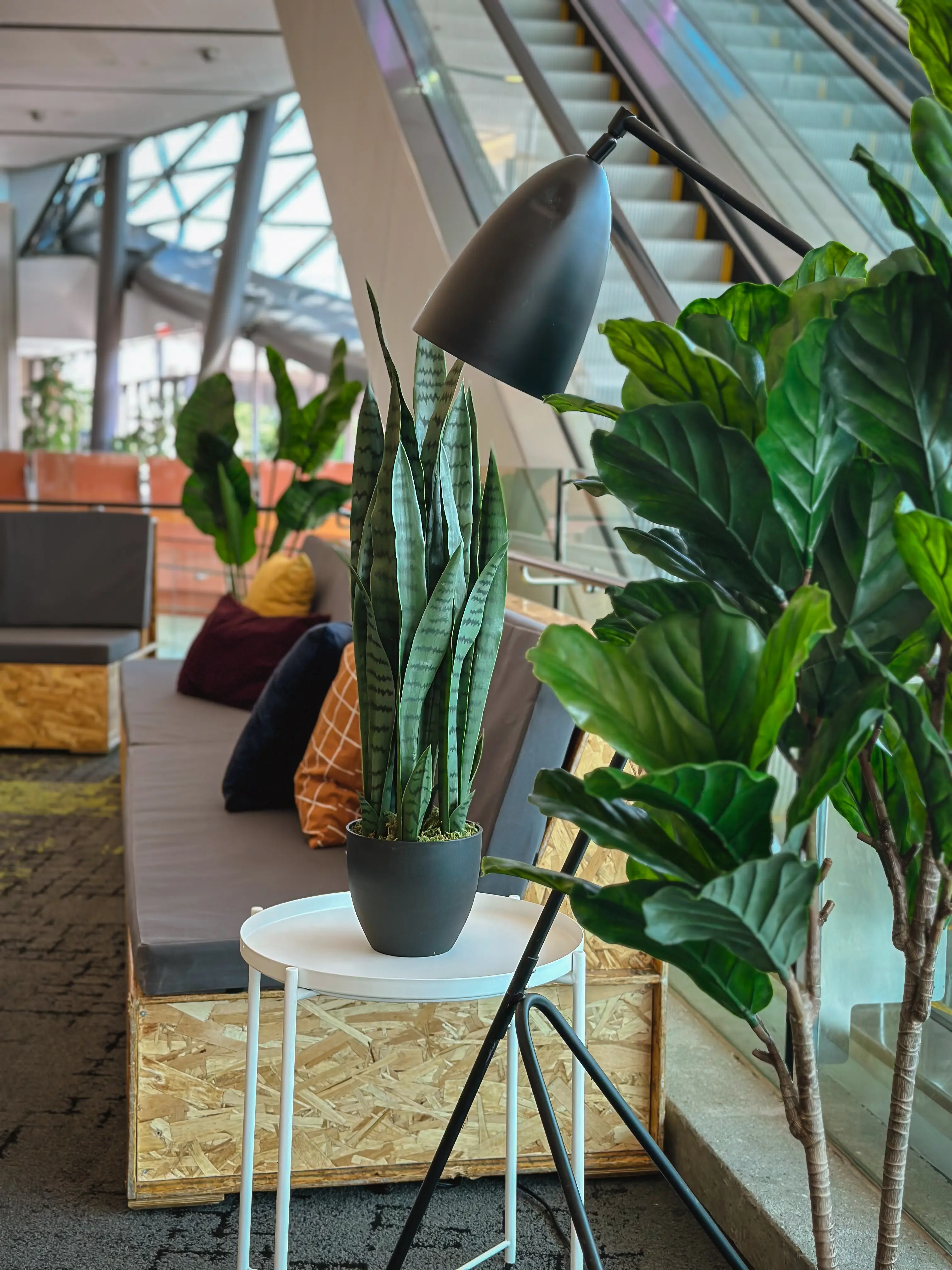 Artificial Sanseveria plant - 35'' H - Green used in the inspiration Shaw Center Img 2327 EN