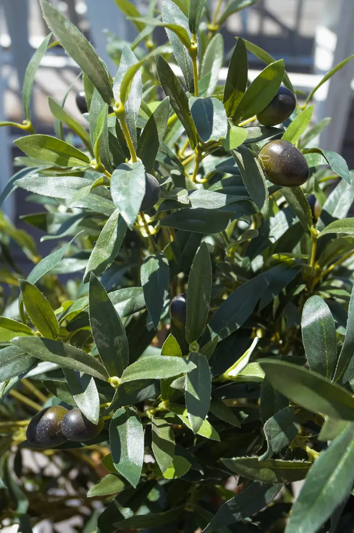 Artificial Olive tree plant - 52" H - Green used in the inspiration Pub Verdure