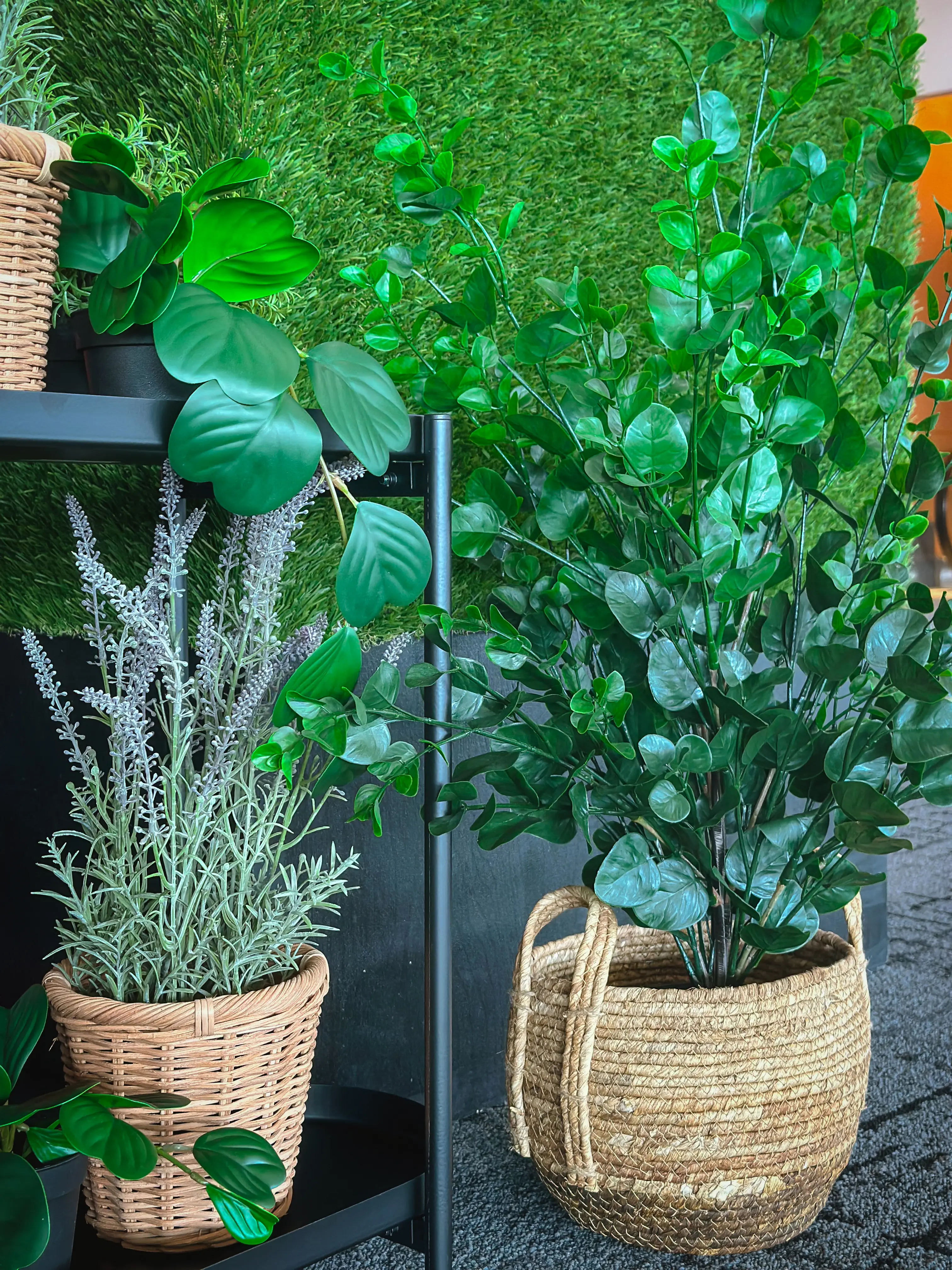 Plante Eucalyptus artificielle - 36" H - Vert utilisé dans le cadre de la réalisation Shaw Center Img 2267 FR