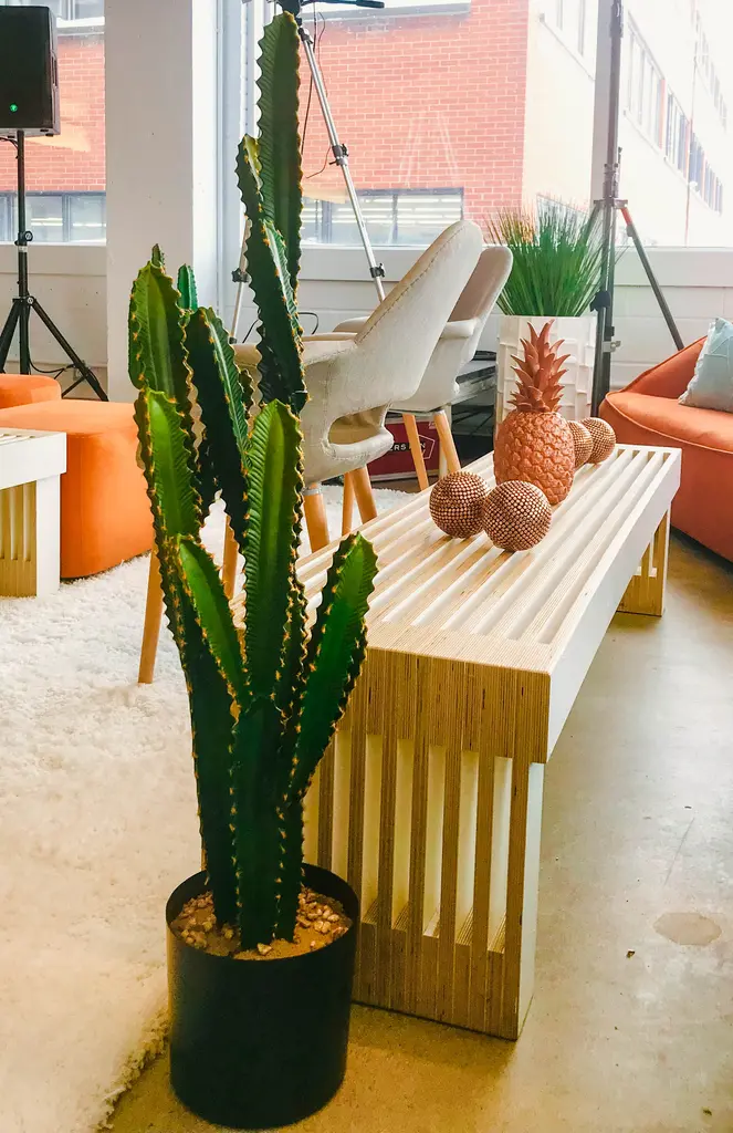 Cactus Banc Scandinave Ananas Boule Alpha