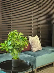 Plante Schefflera artificielle - 20" H - Vert utilisé dans le cadre de la réalisation Shaw Center Img 2345 FR