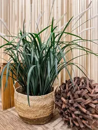 Artificial Cattail plant - 37" H - Green used in the inspiration Accessoires 001 EN