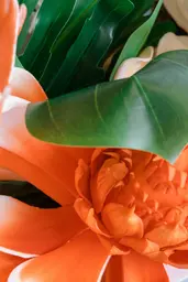 Monstera leaf - Green used in the inspiration Fleur 11