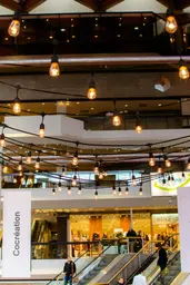 Edison string light - 48' L - Warm white used in the inspiration Lumiere Edison 3