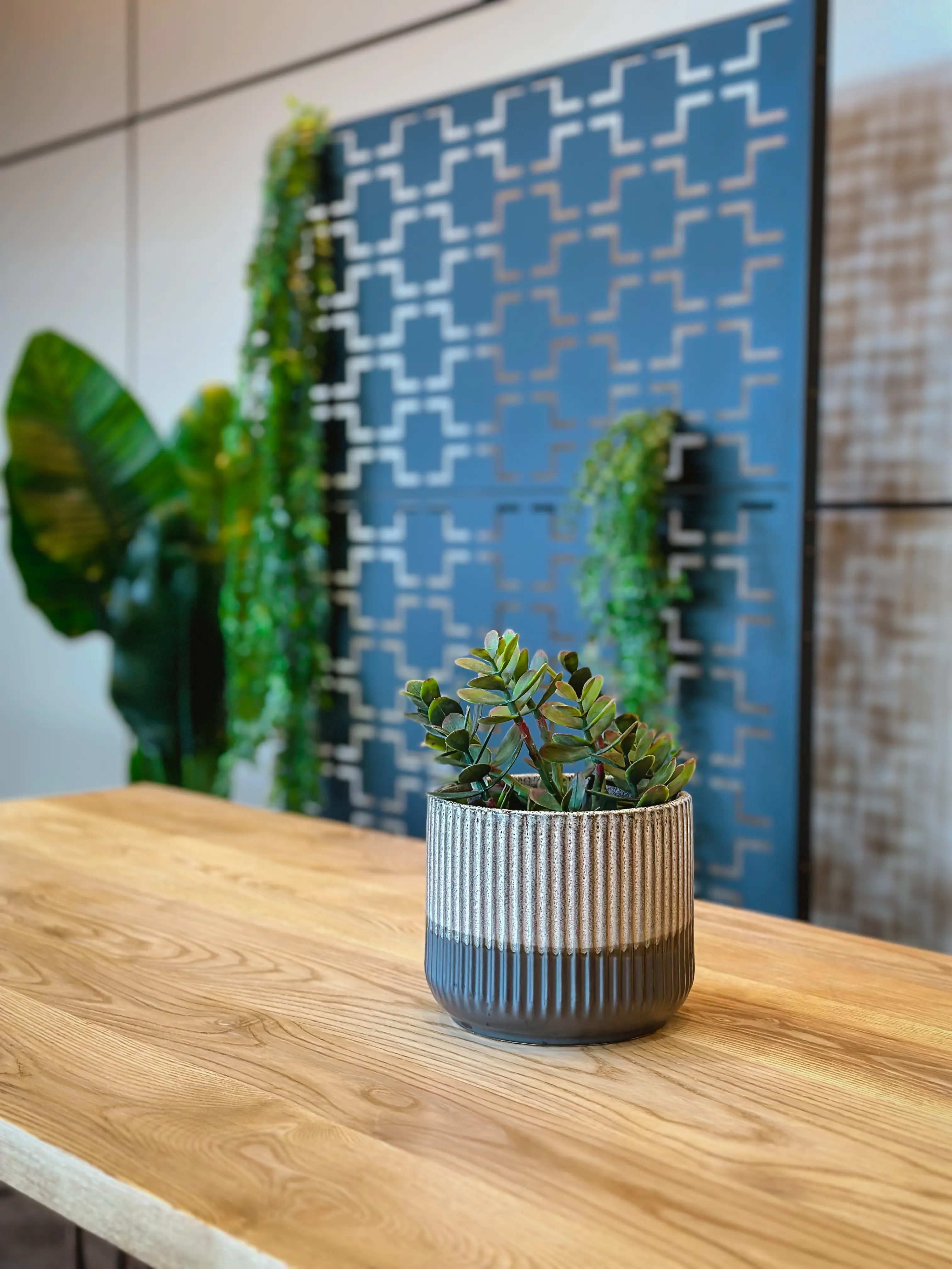 Pilea plant stem - 9" H - Green used in the inspiration Shaw Center Img 2351 EN