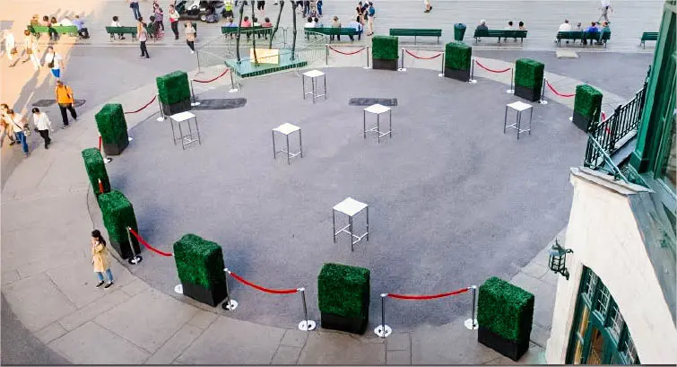 Boxwood 2
