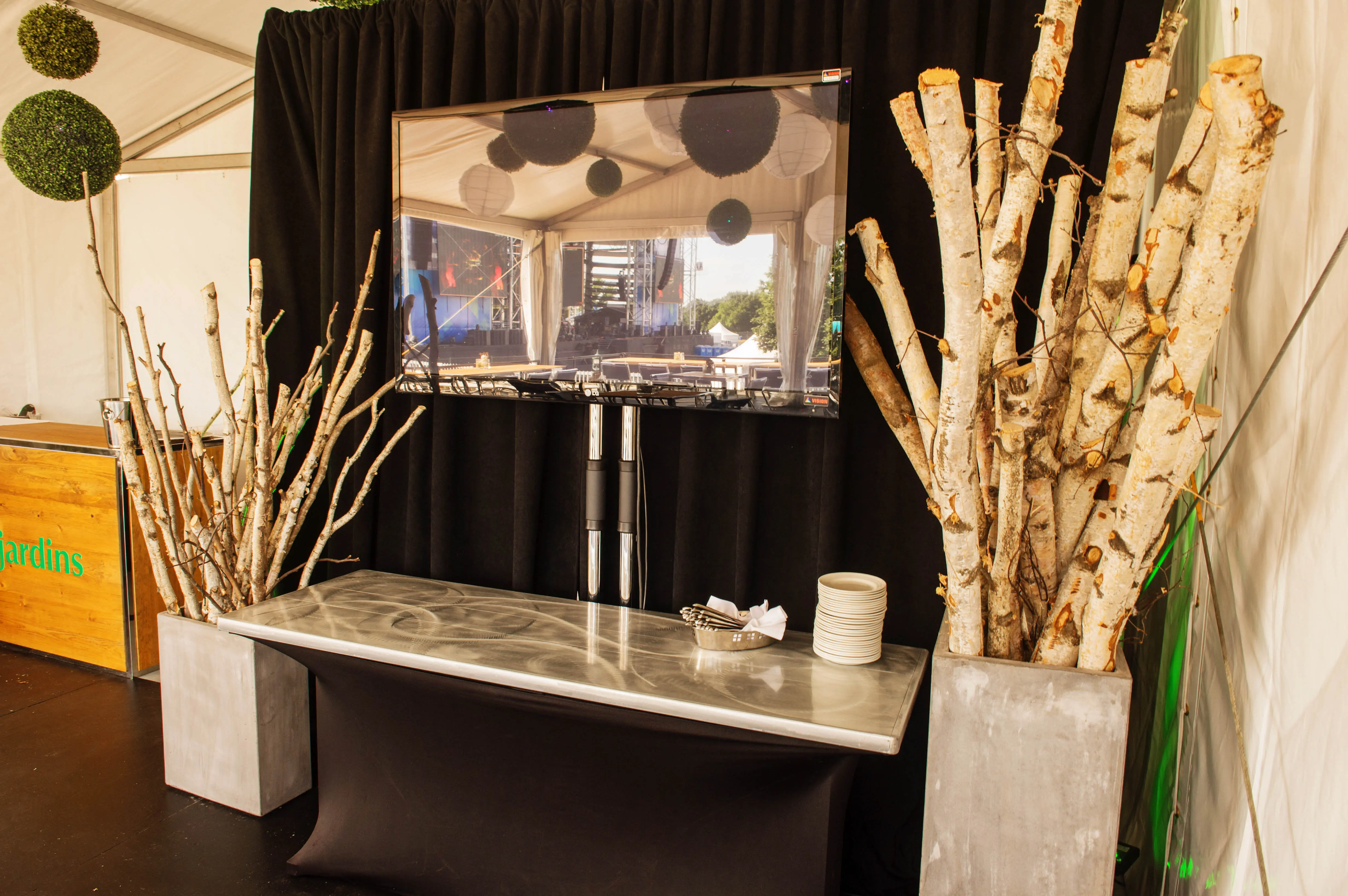 Birch branch - 48" to 72" used in the inspiration Vase Branches Bouleaux Tente