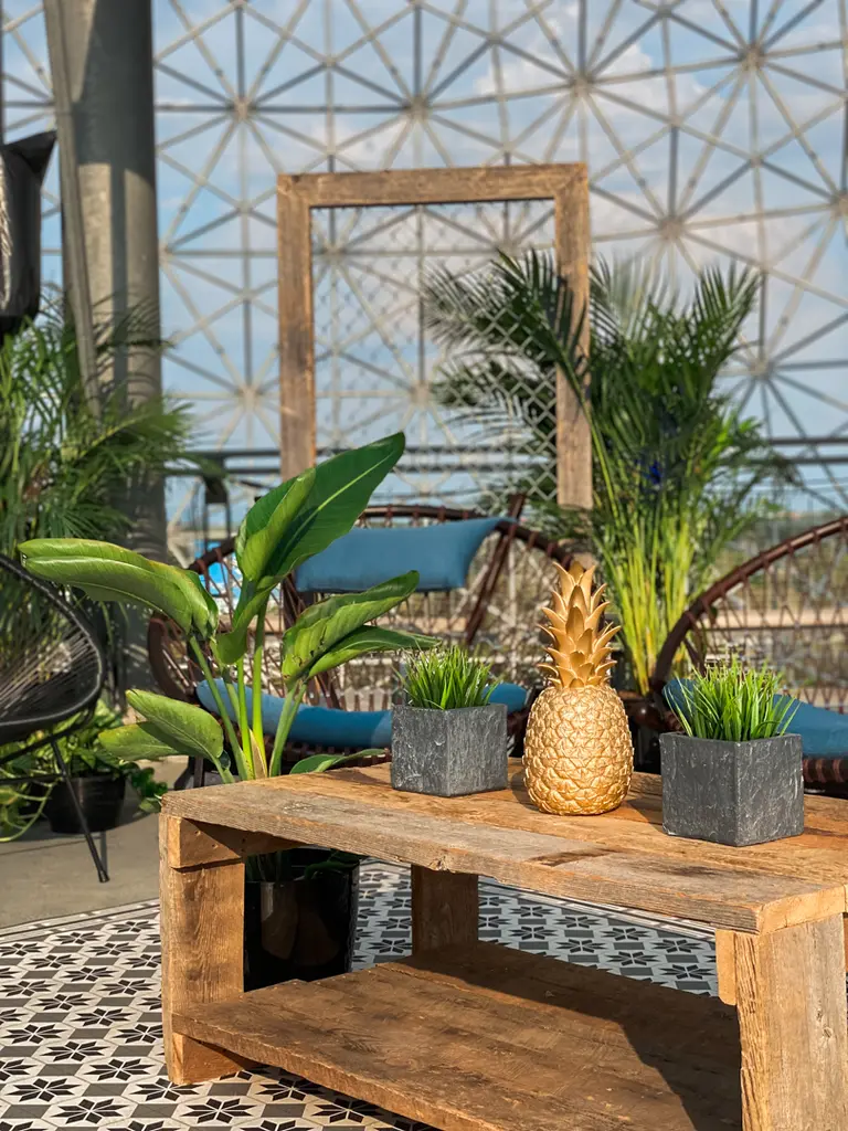 Ananas Étable Grillage Prélart