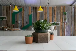 Hexagone - Brun utilisé dans le cadre de la réalisation Lampe Aloes Jaune Manhattan Bois Blanc 4