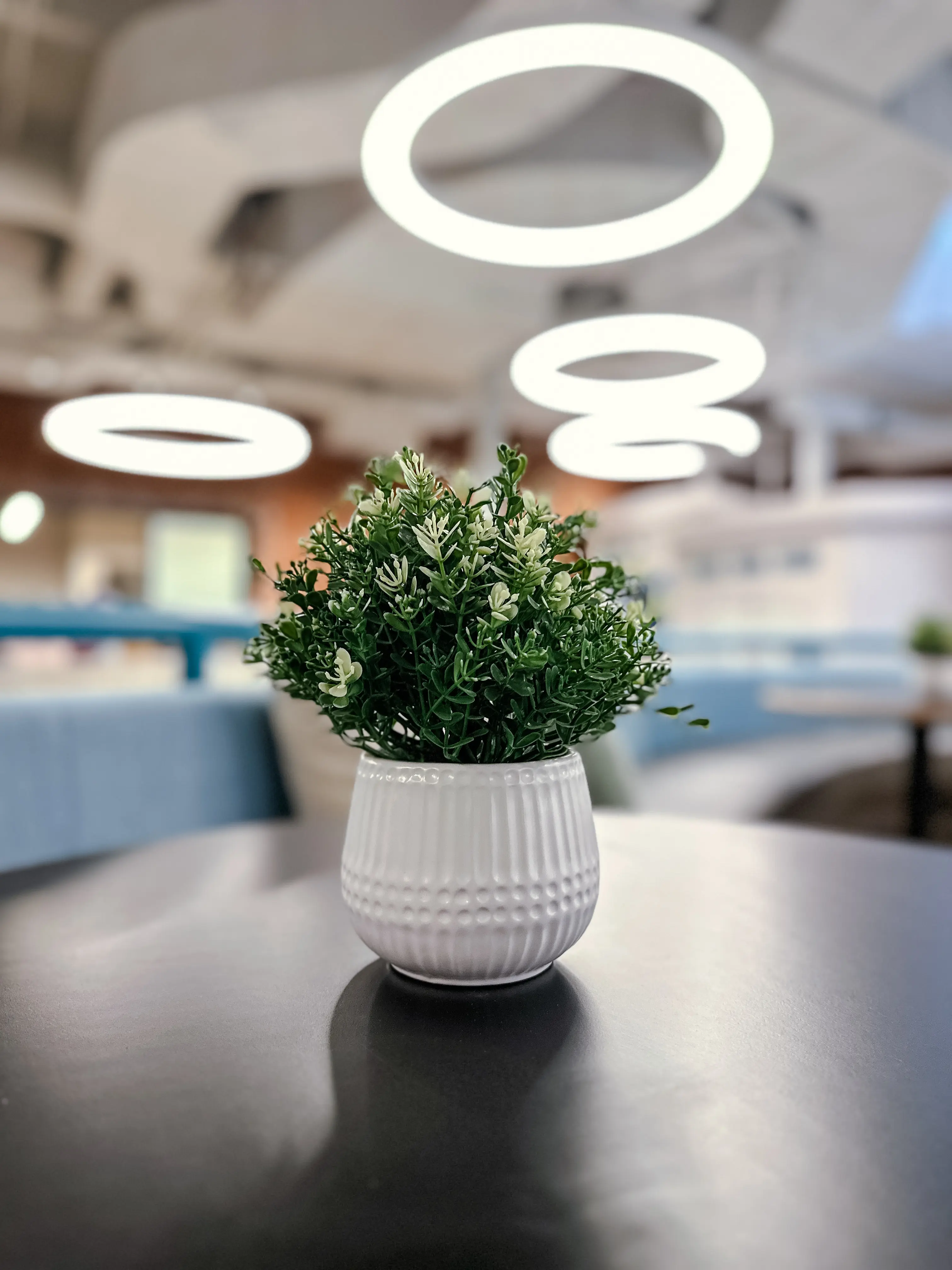 Aurora - Cover pot - 5’’ Dia x 4’’ H - White used in the inspiration Bungalow Aurora Thym EN