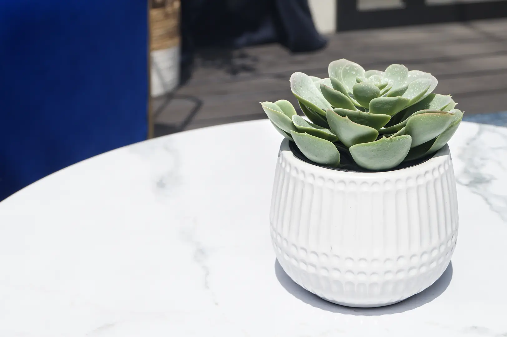 Aurora - Cover pot - 5’’ Dia x 4’’ H - White used in the inspiration Aurora Succulente