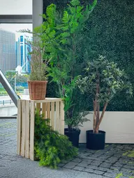 Artificial Australian fern tree plant - 50" H - Green used in the inspiration Shaw Center Img 2251 EN