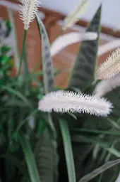 Artificial Cattail plant - 37" H - Green used in the inspiration Typha EN