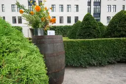 Bourbon tonneau - Bois utilisé dans le cadre de la réalisation Tonneau Bourbon17