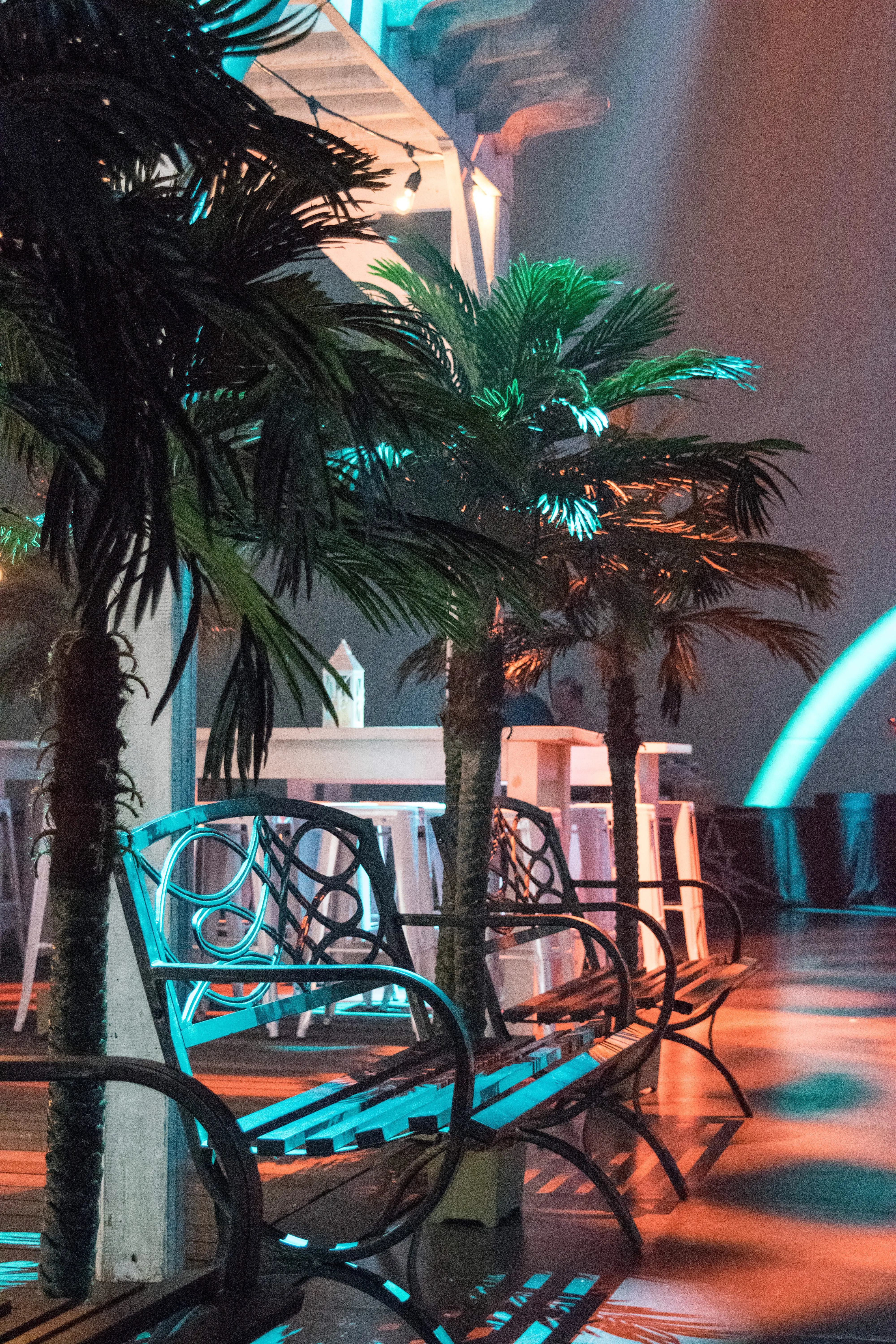 Palm tree - 7' H - Green used in the inspiration Palmier Banc Parc