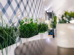 Mur - 4' L x 8' H - Bistro - Blanc et Noir utilisé dans le cadre de la réalisation 100ème Prévost Mur Bistro Muret Blanc Plantes Verveine Typha FR