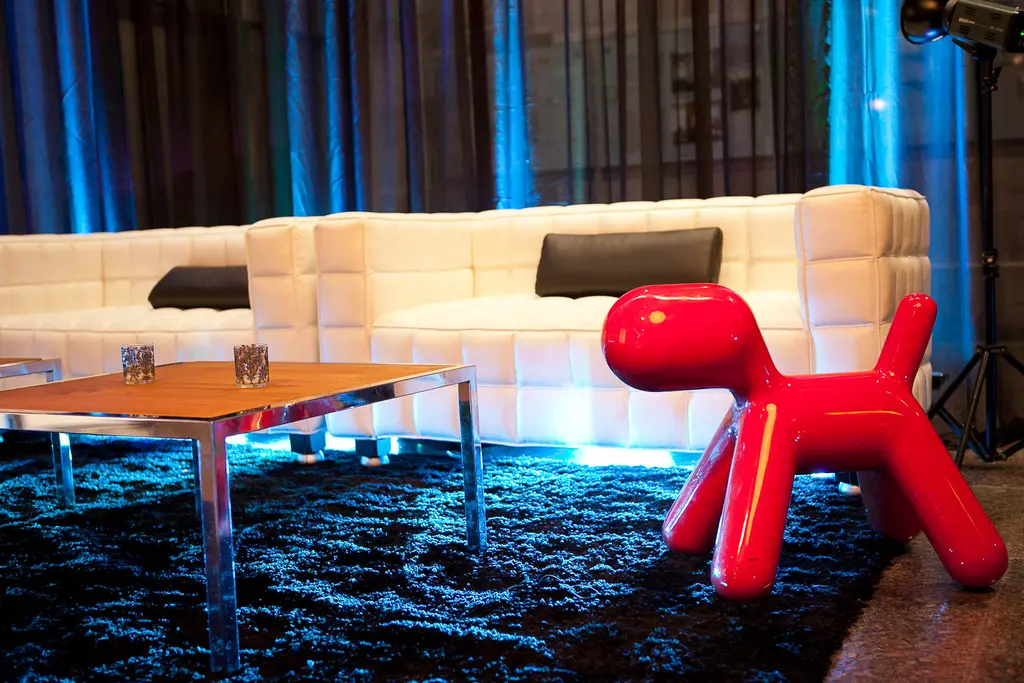 Dog Chair Rouge