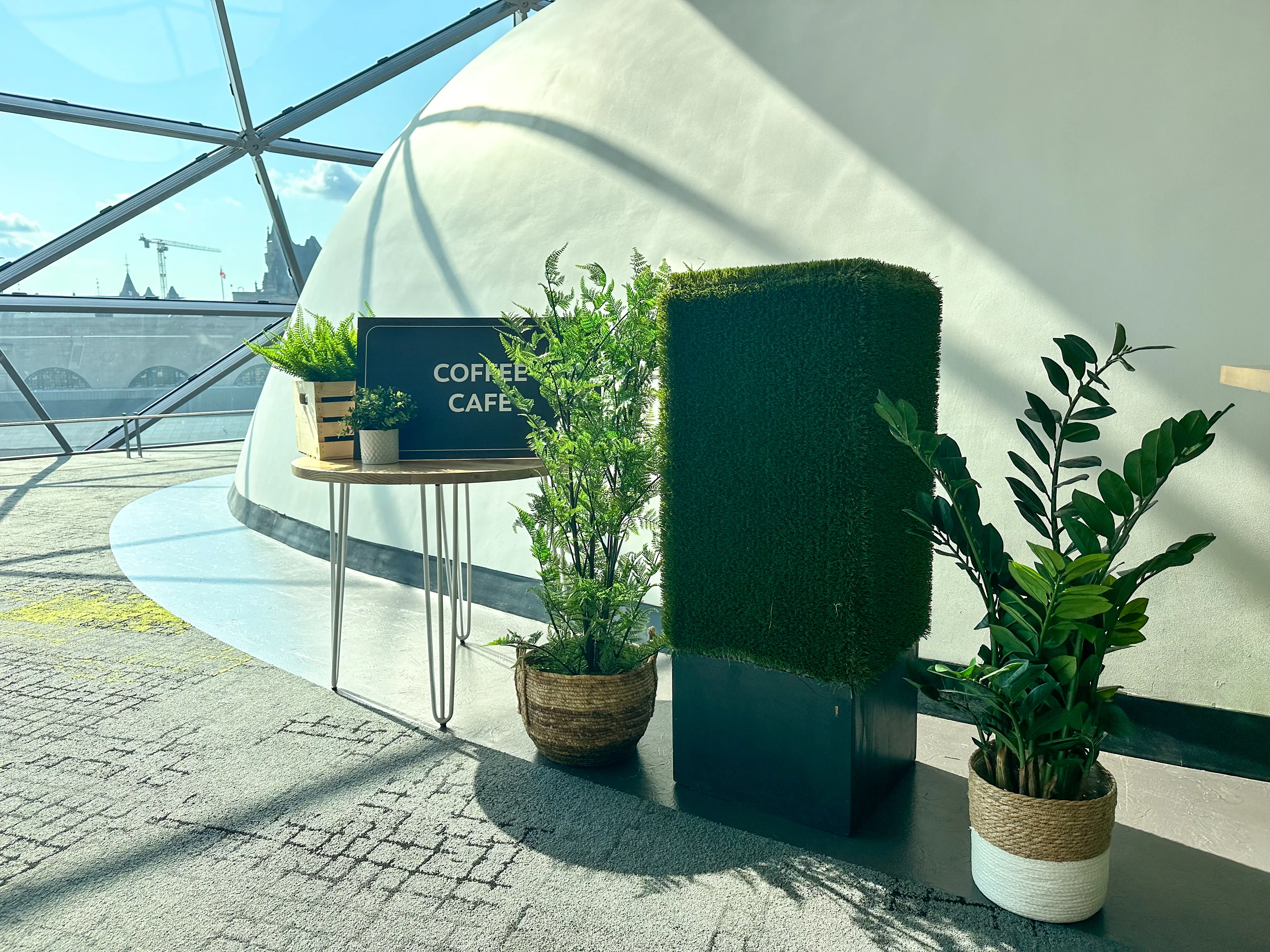 Plante Zamioculcas artificielle - 43" H - Vert utilisé dans le cadre de la réalisation Shaw Center Img 2292 FR