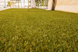 Gazon tapis - 12' L x 10' l - DFR utilisé dans le cadre de la réalisation Grass Carpet Closeup