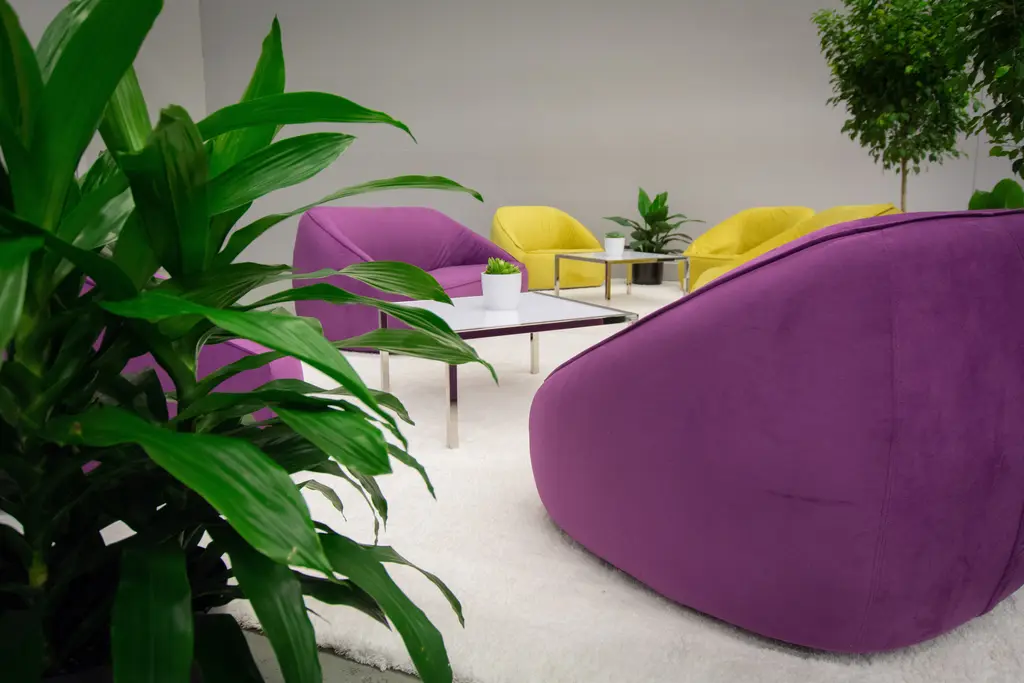 Fauteuil Malibu Table Cafe Mezzo Tapis Shag