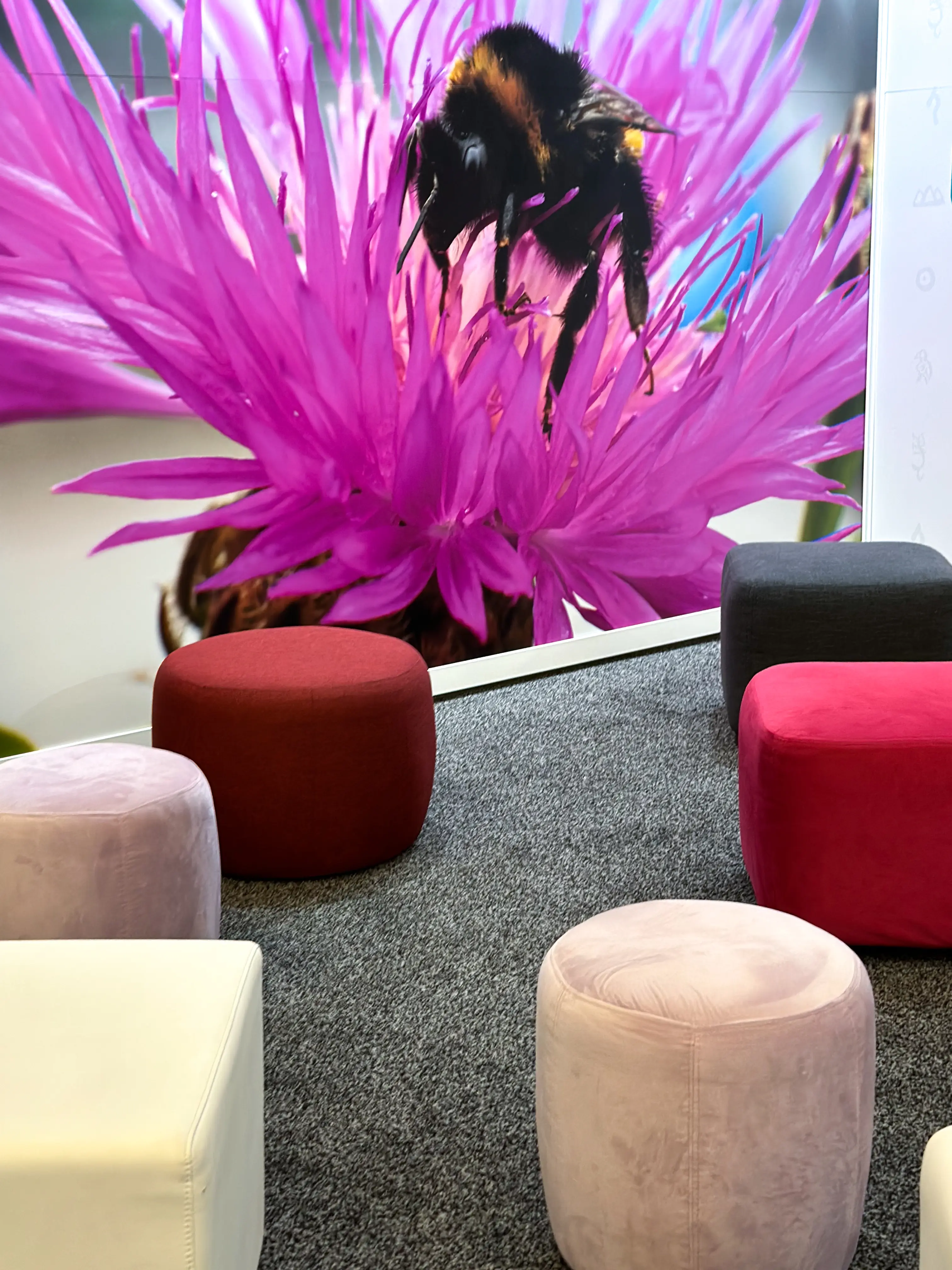 Paloma pouf - Petit - Rose lavande utilisé dans le cadre de la réalisation Palais Congès Img 0464 FR