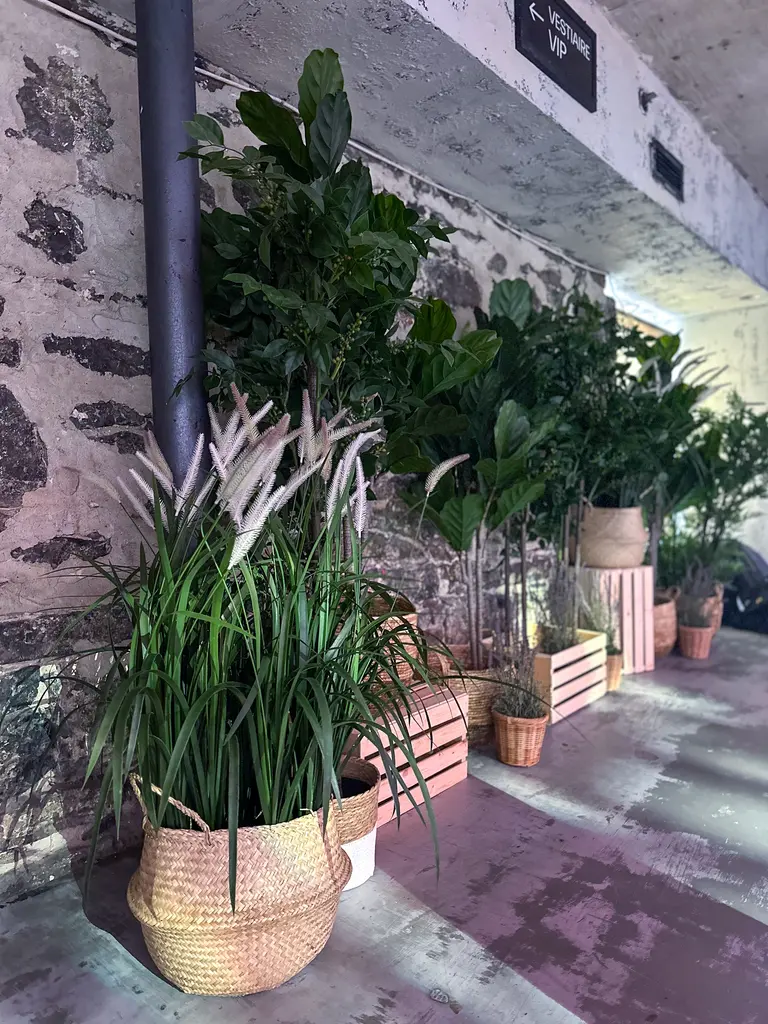 Ncg Verdure EN