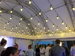 Edison string light - 48' L - Warm white used in the inspiration Ampoules Edison Loge