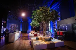 Fidji - Center - Sand used in the inspiration Lounge Fidji Blanc Sable Arbre Geant 12