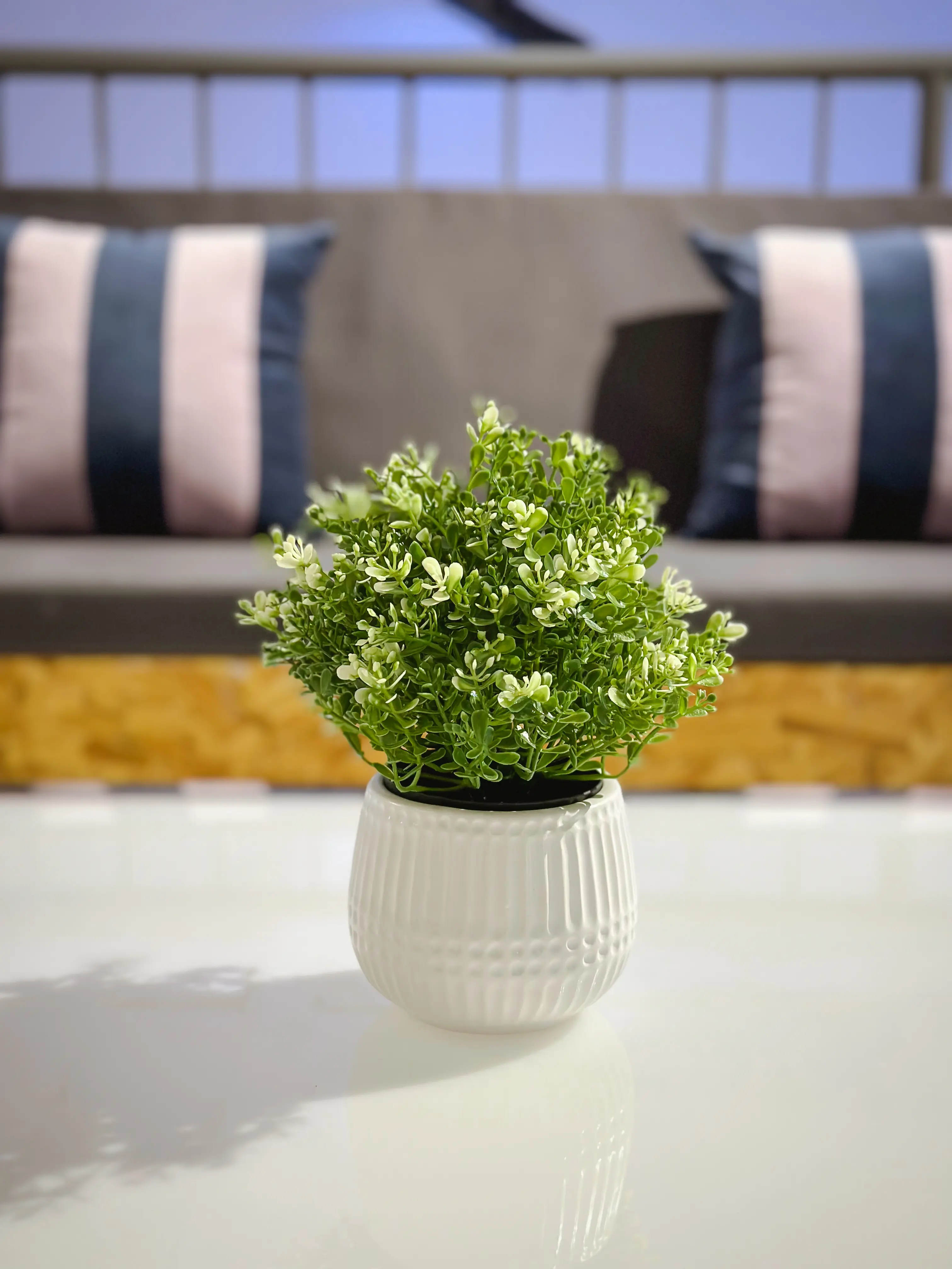 Aurora - Cover pot - 5’’ Dia x 4’’ H - White used in the inspiration Marché Bonsecours Aurora EN