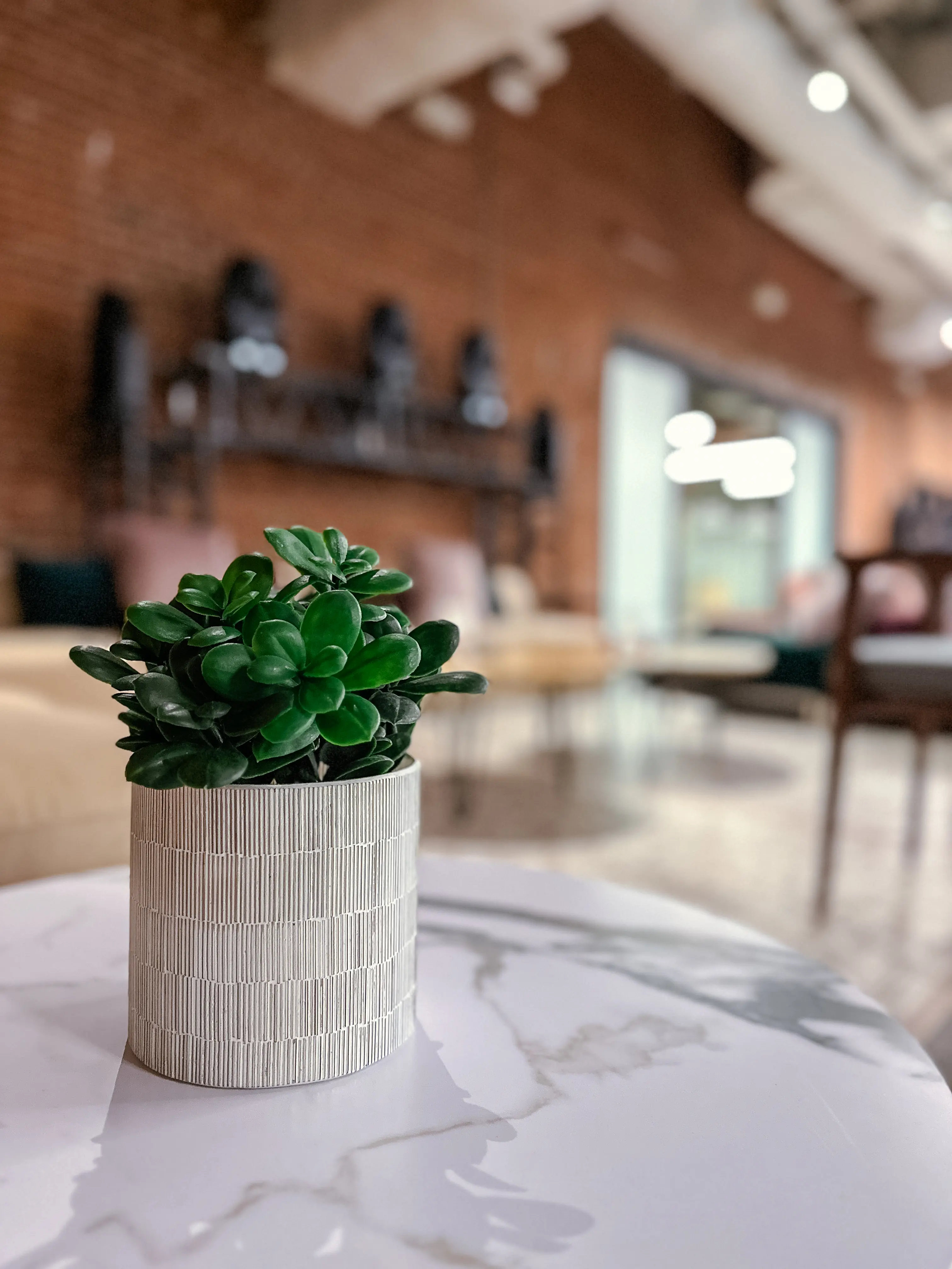Ellis - Table à café - 35" D x 19" H - Marbre blanc & Or utilisé dans le cadre de la réalisation Bungalow Barcelon Pilea FR
