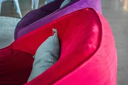 Malibu - Solo - Rose magenta utilisé dans le cadre de la réalisation Pub Fauteuil Malibu
